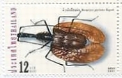タイ　昆虫　バイオリンムシ　切手