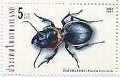 タイ　昆虫　ゴミムシの一種　切手