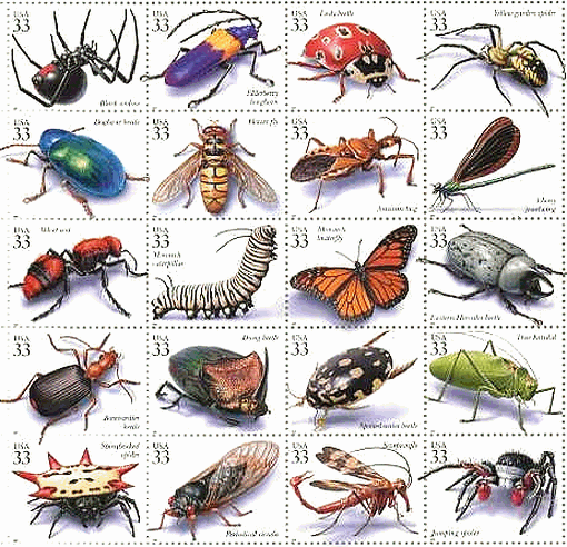 蜘蛛,クモ,カミキリ,カブト,バッタ,セミ,蜂,ハチ,ゲンゴロウ,ウスバ,カゲロウ　アメリカ　切手　シート