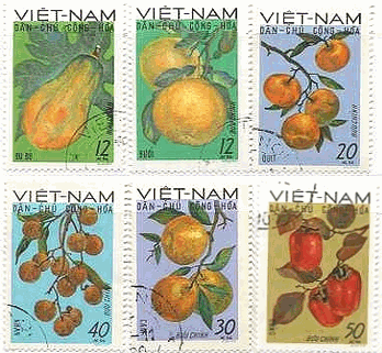 ベトナムのフルーツ　切手　柿　マンゴー　みかん　ヤマモモ