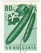 キュウリ（cucumber、ブルガリア、1958年）　野菜