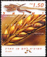イスラエルのパンの製造（2004年）　穀類の穂と鎌
