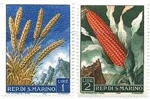 麦とトウモロコシ（サンマリノ）