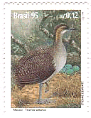 絶滅に瀕したブラジルの野鳥（１９９５年）　”Tinamus solitarius”, w:Solitary Tinamou, オバシギダチョウ