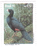 絶滅に瀕したブラジルの野鳥（１９９５年）　Mitu mitu, Alagoas Curassow, チャバラホウカンチョウ