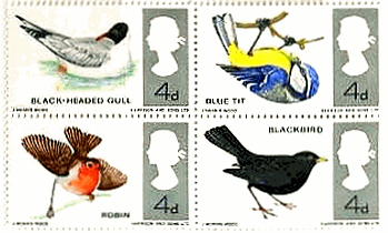 ユリカモメ/アオガラ/コマドリ/クロウタドリ（イギリス、1966年）　鳥