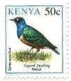 アフリカ・ケニアの鳥たち（1993年）　Superb Starling（ムクドリ）