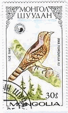 啄木鳥（キツツキ、モンゴル、1986年）　アリスイ（Jynx torquilla）