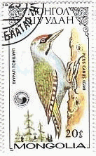 啄木鳥（キツツキ、モンゴル、1986年）　ヤマゲラ（山啄木鳥、Picus canus）