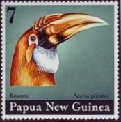 シワコブサイチョウ（Wreathed Hornbill、パプアニューギニア、1984年）
