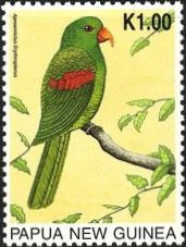 nSCRIE Red-winged Parrots (Aprosmictus erythropterus)
