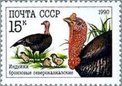 七面鳥のオス、メス、ヒナ（ロシア、1990年）