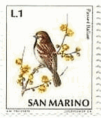 イタリア・イエスズメ(House Sparrow、1972年、ｻﾝﾏﾘﾉ)