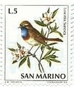 オガワコマドリ（小川駒鳥、Luscinia svecica）　サンマリノ　鳥