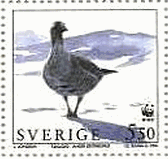 スウェーデンの鳥　