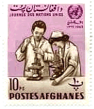 看護婦と医者（アフガニスタン、1964年）　医療