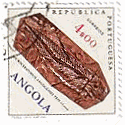 アンゴラの化石（1970年）肺魚　Microceratodus angolensis　三畳紀