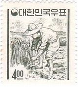 稲刈りをする人（韓国,）
