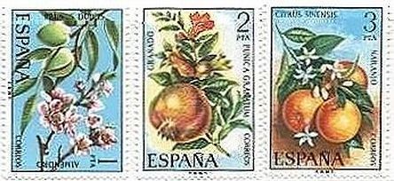 スペインの果物　フルーツ　アーモンドナッツ、ザクロ、オレンジ