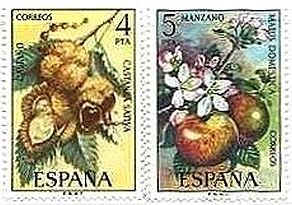 スペインの果物　フルーツ　アーモンドナッツ、ザクロ、オレンジ、クリ（chestnut）、りんご