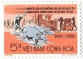 ベトナムの稲作風景　牛　耕作