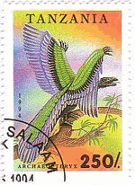 始祖鳥(Archaeopteryx)