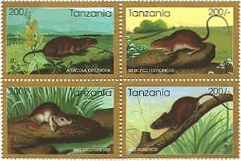 アフリカ・タンザニアのネズミの年賀
