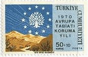 森林伐採で禿げた山（トルコ、1970年）