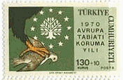 森林伐採で禿げた山（トルコ、1970年）　鳥