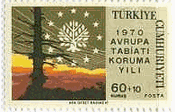 森林伐採で禿げた山（トルコ、1970年）　木