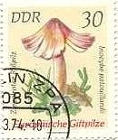 ヨーロッパの毒キノコ（東ドイツ、1974年）　inocybe patouilardil 