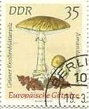 ヨーロッパの毒キノコ（東ドイツ、1974年）　amanita phalloldes