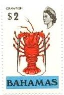 中南米・バハマの伊勢海老（crayfish）