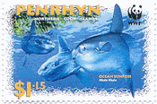 マンボウ（Sunfish、Penrhyn諸島、2003年）　自然動物保護で発行されたもの