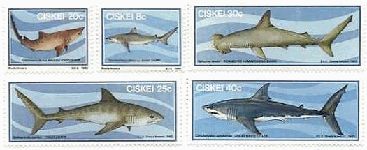 南ア・シスカイのサメ　８ｃ：ドタブカ（Dusky shark）、２０ｃ：オオワニザメ（Ragged-tooth shark）、２５ｃ：イタチザメ（Tiger shark）、３０ｃ：アカシュモクザメ （Scalloped hammerhead ）、４０ｃ：ホオジロサメ（Great White shark)