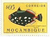 モザンビークの魚(1951年）　モンガラカワハギ（Big-spotted triggerfish、Balistoides conspicillum）