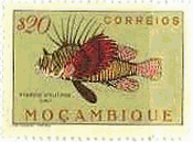 モザンビークの魚(1951年）　ハナミノカサゴ（Red lionfish、Pterois volitans）