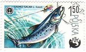 ポーランド・生物資源や環境保護（1979年）　サケ（鮭,Salmon）