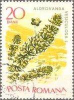 ムジナモ (Aldrovanda vesiculosa、ルーマニア、1966年)　食虫植物