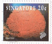 シンガポールのサンゴ（1994年）　シーファン　珊瑚