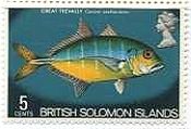 英領ソロモン諸島（1972-3年）　魚　ギンガメアジ（Great trevally）