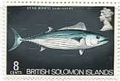 英領ソロモン諸島（1972-3年）　魚　カツオ（little bonito）