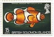 英領ソロモン諸島（1972-3年）　魚　クマノミ（Orange anemone fish）