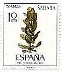 海草（スペイン領サハラ、1967年）