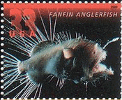 米国・深海の生物（２０００年）　ヒレナガチョウチンアンコウの一種（fanfin anglerfish、Caulophryne jordani）