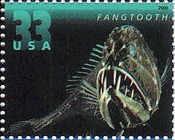 米国・深海の生物（２０００年）　オニキンメ（fangtooth、Anoplogaster cornuta） 