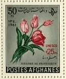 アフガニスタンのチューリップ　切手　花
