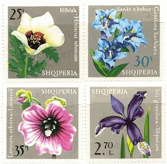アルバニアの花（1975年）　ハイビスカス：アオイ科のブッソウゲ（hibiscus）、リンドウ（gentian）、タチアオイ, ハナアオイ（hollyhock）、アイリス（iris）アヤメ科アヤメ属の単子葉植物の総称