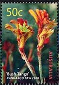カンガルーポー「ブッシュタンゴ」（ｵｰｽﾄﾗﾘｱ）　花