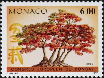 モナコ　ヨーロッパ盆栽会議